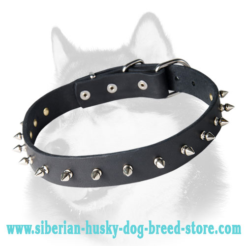 Fashion Spiked Leather Dog Collar for Siberian Husky