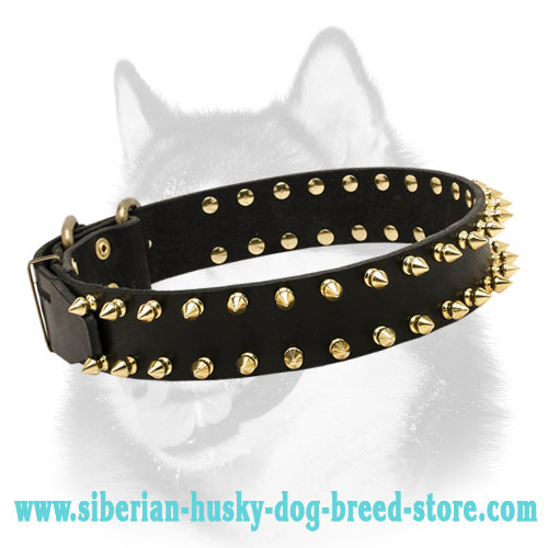 Luxurious Spiked Dog Collar for Siberian Husky