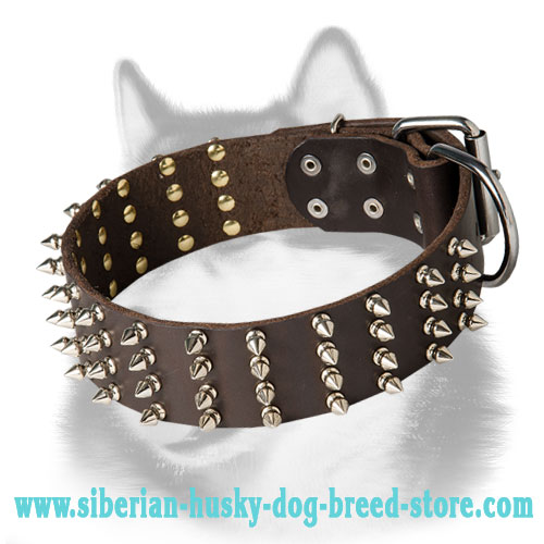 Gorgeous 2 inch Wide Spiked Leather Dog Collar for Siberian Husky
