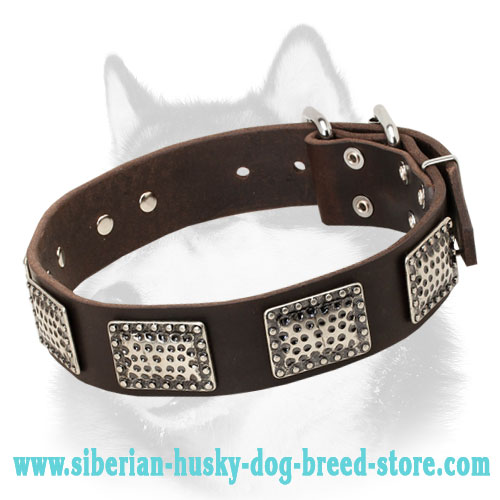 "True Warrior" Leather Dog Collar for Siberian Husky