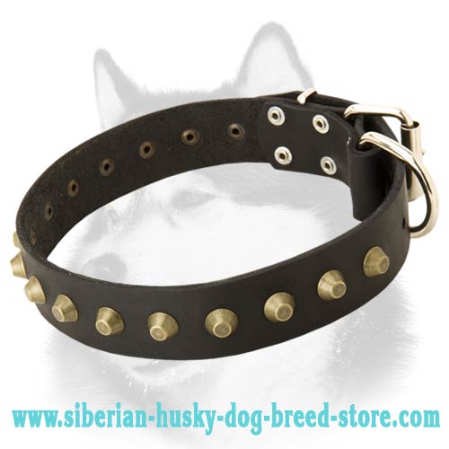 Wide Leather Dog Collar for Siberian Husky Studded with Pyramids