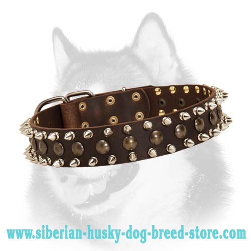 Leather Dog Collar for Siberian Husky with Stylish Spikes and Half Spheres Decoration