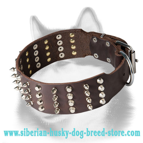 Wide Leather Dog Collar for Siberian Husky with Studs and Spikes