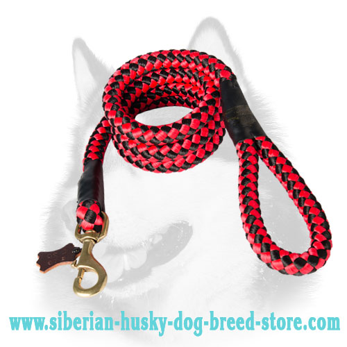 Strong Cord Nylon Dog Leash for Siberian Husky