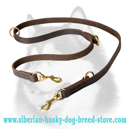 Classic Double Training Leather Dog Leash for Siberian Husky