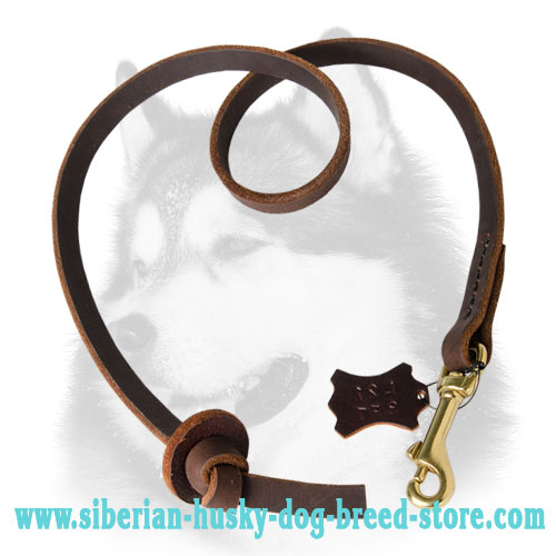 Dog Training Tabs - Leather Leash Tab for Siberian Husky
