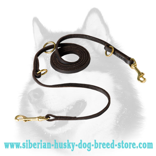 Multimode Baby Soft English Leather Dog Leash for Siberian Husky - Click Image to Close