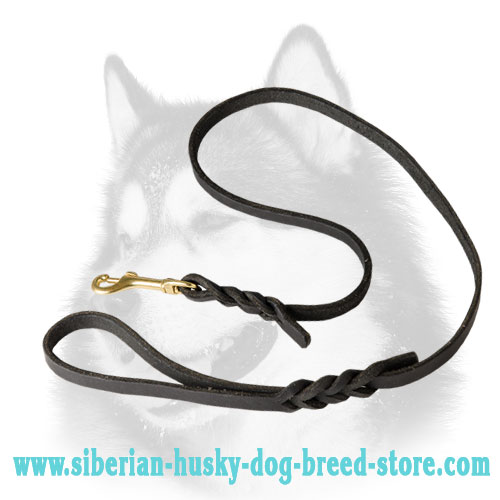 Handcrafted Leather Dog Leash for Siberian Husky