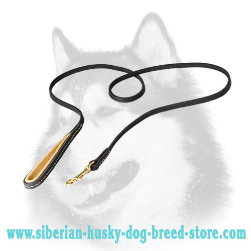 Awesome Leather Dog Leash for Siberian Husky with Padded Handle