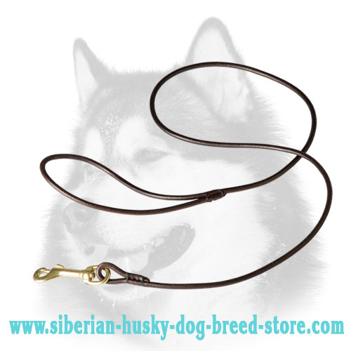 Dog Show Leather Leash for Siberian Husky