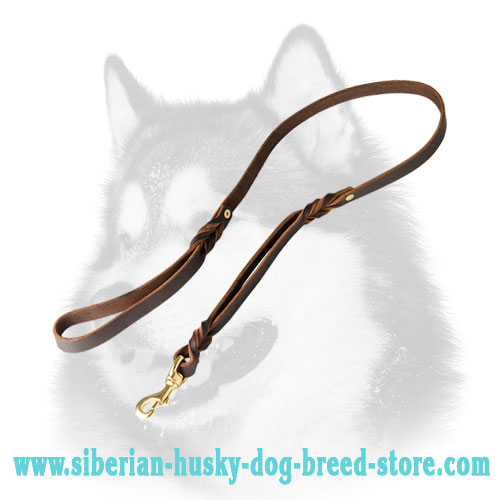 Double Handle Leash for Siberian Husky