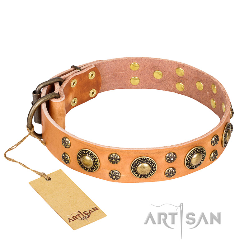 'Sophisticated Glamor' FDT Artisan Siberian Husky Tan Leather Dog Collar with Luxury Old-Bronze Plated Decorations