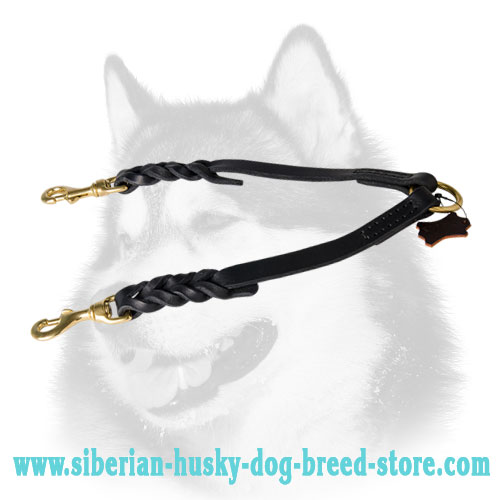 Finest Braided Leather Coupler for Walking 2 Dogs
