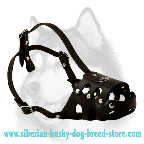Siberian Husky Fit Tight Leather Muzzle