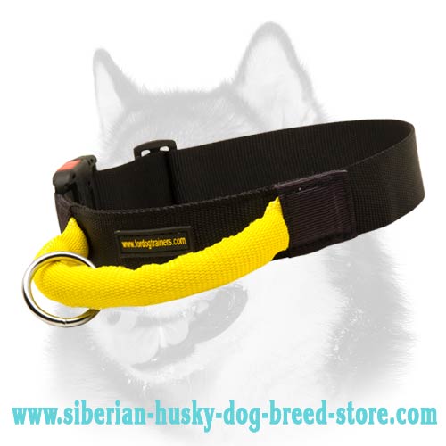 Siberian Husky Nylon Collar with Handle and Quick Release Buckle