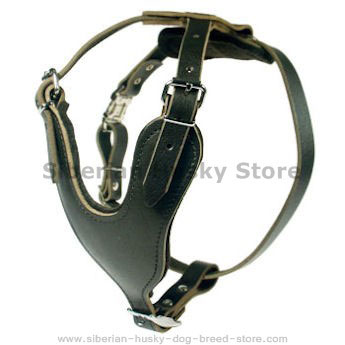 Tracking/Walking Leather Harness for Siberian Husky - Click Image to Close