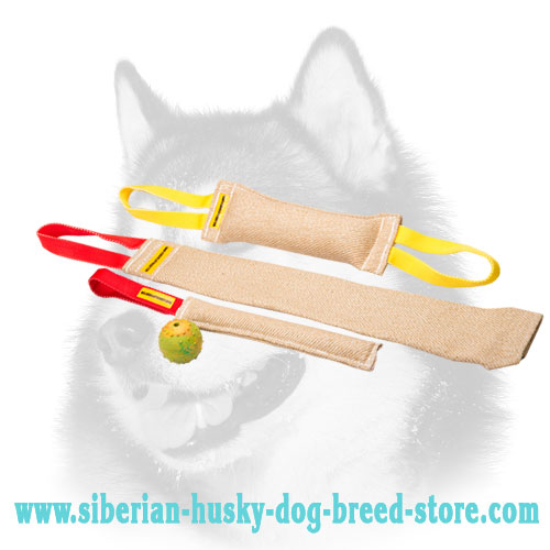 Dog Bite Tugs for Training