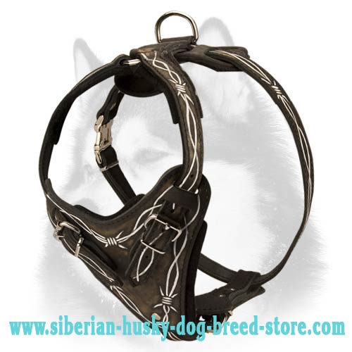 Comfortable Adjustable Painted Harness for Siberian Husky