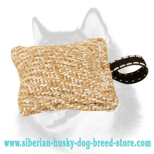 Small Jute Bite Tug for Siberian Husky Puppy