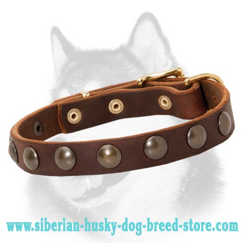 Deluxe Leather Dog Collar for Siberian Husky with Brass Adornment