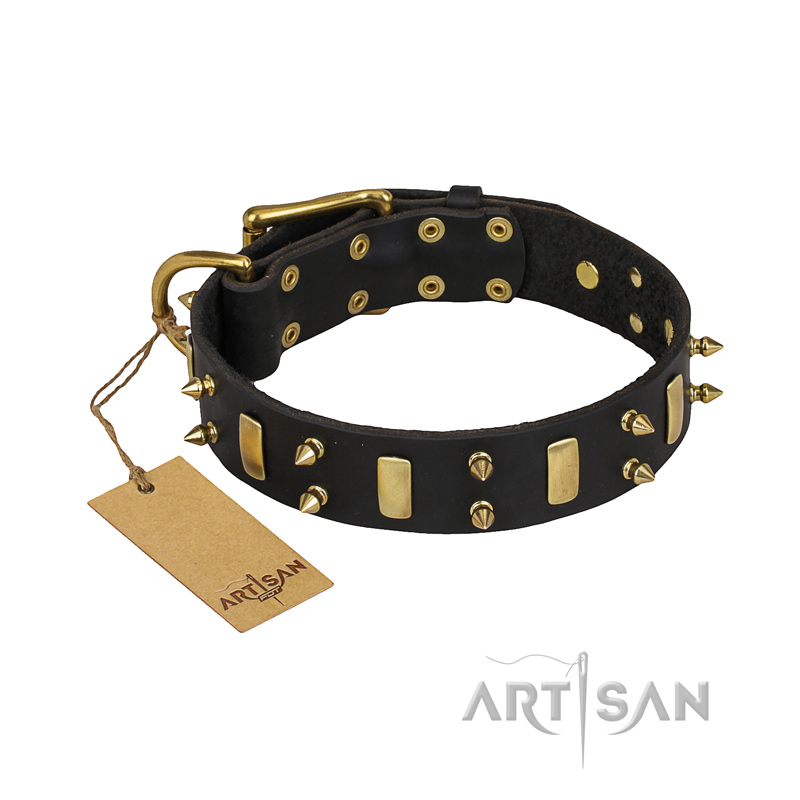 "Medieval Style" FDT Artisan Leather Siberian Husky Collar with Brass Plates and Spikes