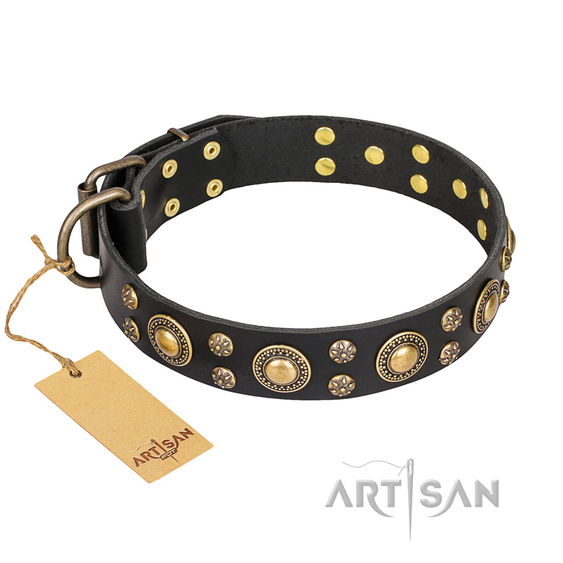 'Baroque Chic' FDT Artisan Studded Black Leather Siberian Husky Dog Collar