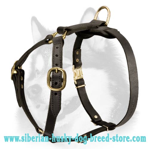 Luxury Handcrafted Super Harness Made for Siberian Husky