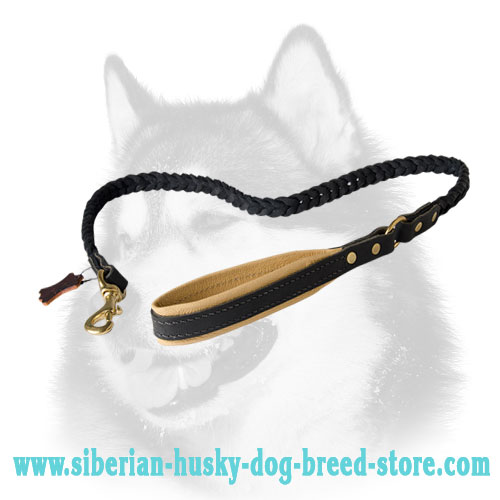 Similar to COACH Leather Dog Leash for Siberian Husky training