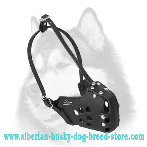 Military Leather Siberian Husky Muzzle