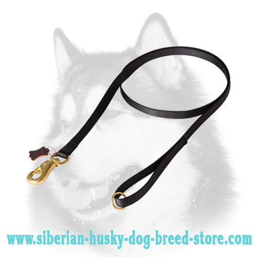 Multiple Tasks Nylon Dog Lead for Siberian Husky