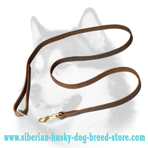Multitasking Leather Dog Leash for Siberian Husky