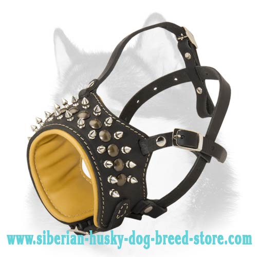 Leather Muzzle with Stylish Spiked Decoration for Siberian Husky