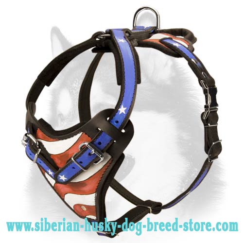 "American Flag" Handpainted Siberian Husky Harness
