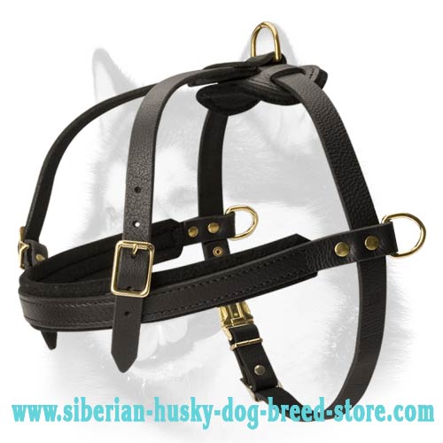 Tracking/Pulling Leather Harness for Siberian Husky