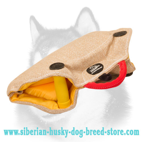 Puppy and Young Dog Bite Builder