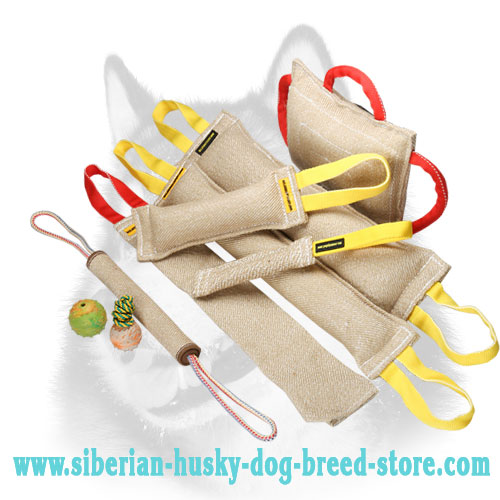 Buy Reliable Siberian Husky Training Set (6 Bite Tugs) and Get 3 Amazing Gifts ( value $24.2)