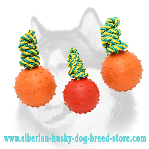 Solid Rubber Ball for Siberian Husky Training - Small