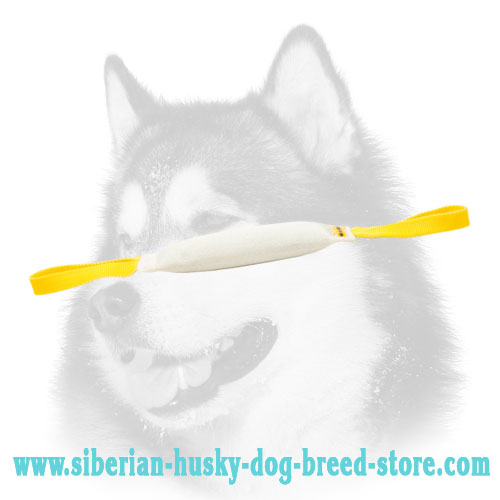 Siberian Husky Bite Tug of Fire Hose with 2 Handles