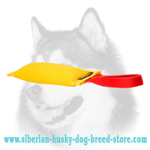 Siberian Husky Bite Tug of French Linen with Handle