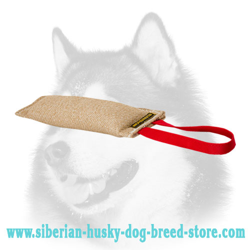 Siberian Husky Bite Tug of Jute with Handle