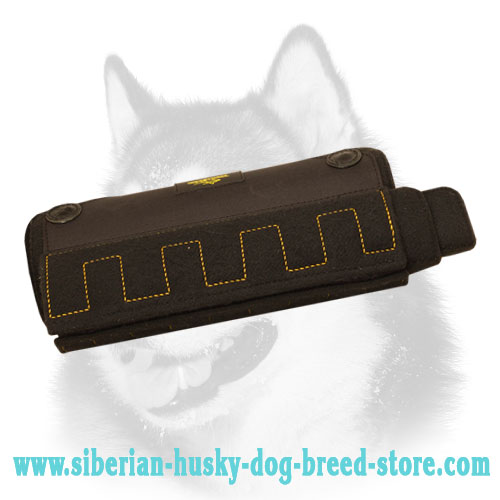 Siberian Husky Bite X-Developer for Puppy and Young Dog - Click Image to Close
