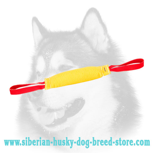 Great Synthetic French Linen bite tug for Siberian Husky