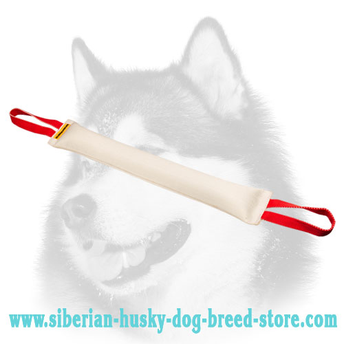 Huge Siberian Husky Bite Tug with 2 Comfy Handles