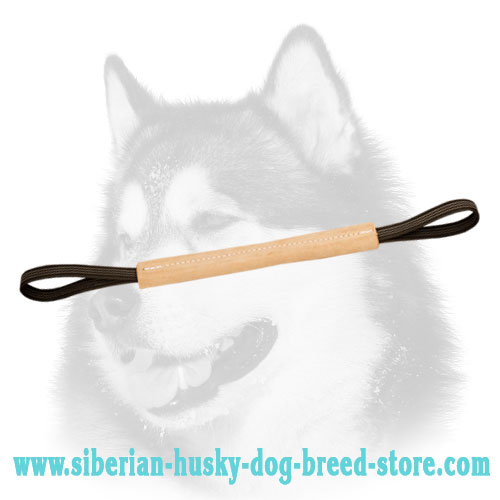 Hard leather pocket toy with two handles for Siberian Husky