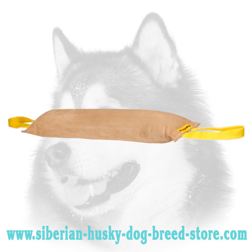 Leather Huge Bite Tug with 2 Handles for Dog Training - Click Image to Close