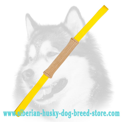 Leather Pocket Toy with Two Handles