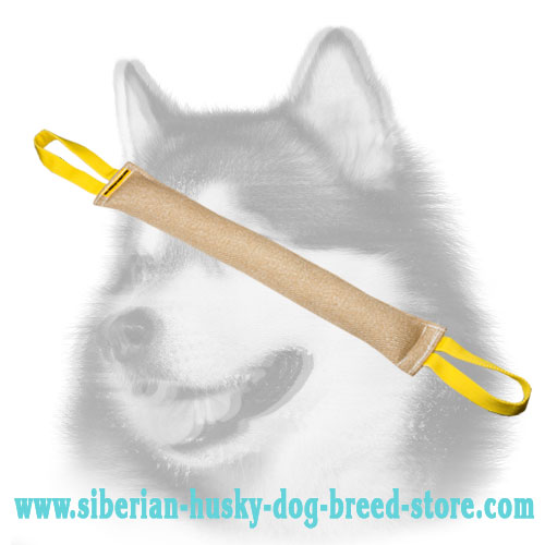 Reliable Jute Siberian Husky Bite Tug (Tag)