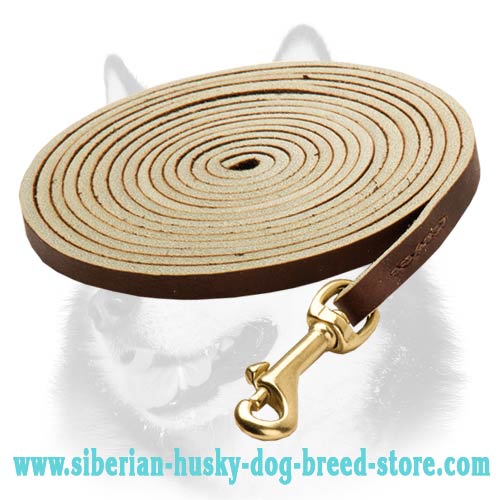 Extra Long Leather Dog Leash for Siberian Husky