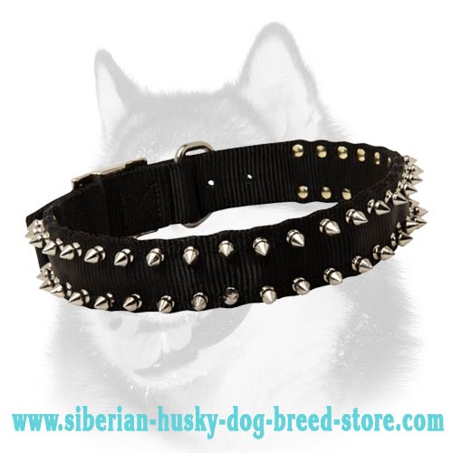 Nylon Spiked Dog Collar - 2 Rows of Spikes for Siberian Husky