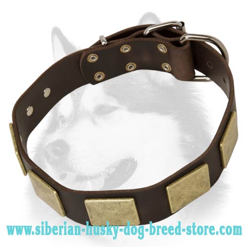 Awesome Leather Siberian Husky Collar with Massive Plates - Click Image to Close